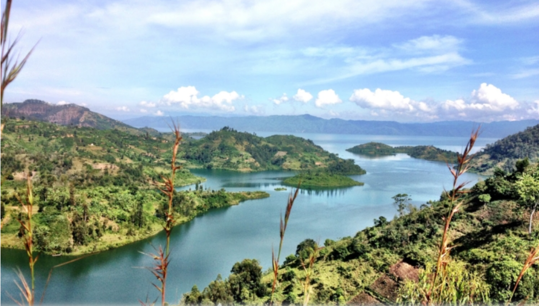 Biking Tours